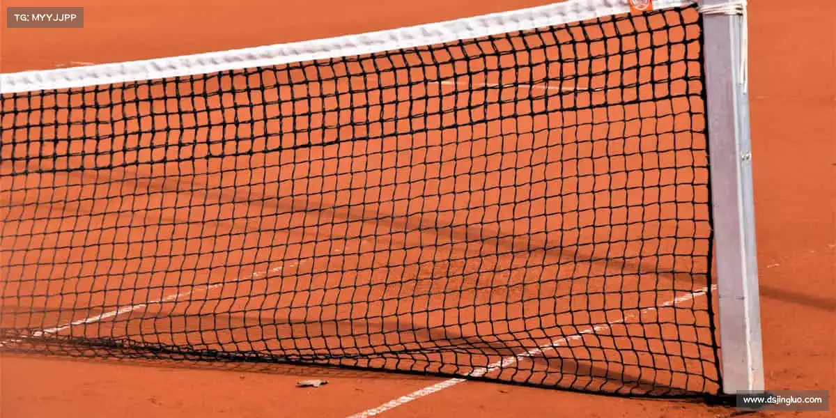 为什么选择我们